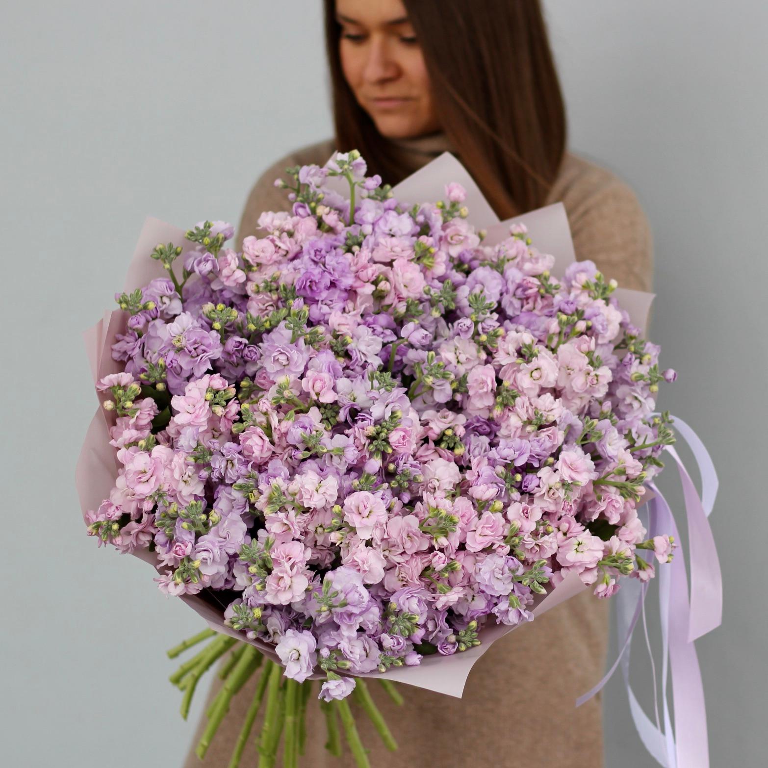 Кустовая маттиола