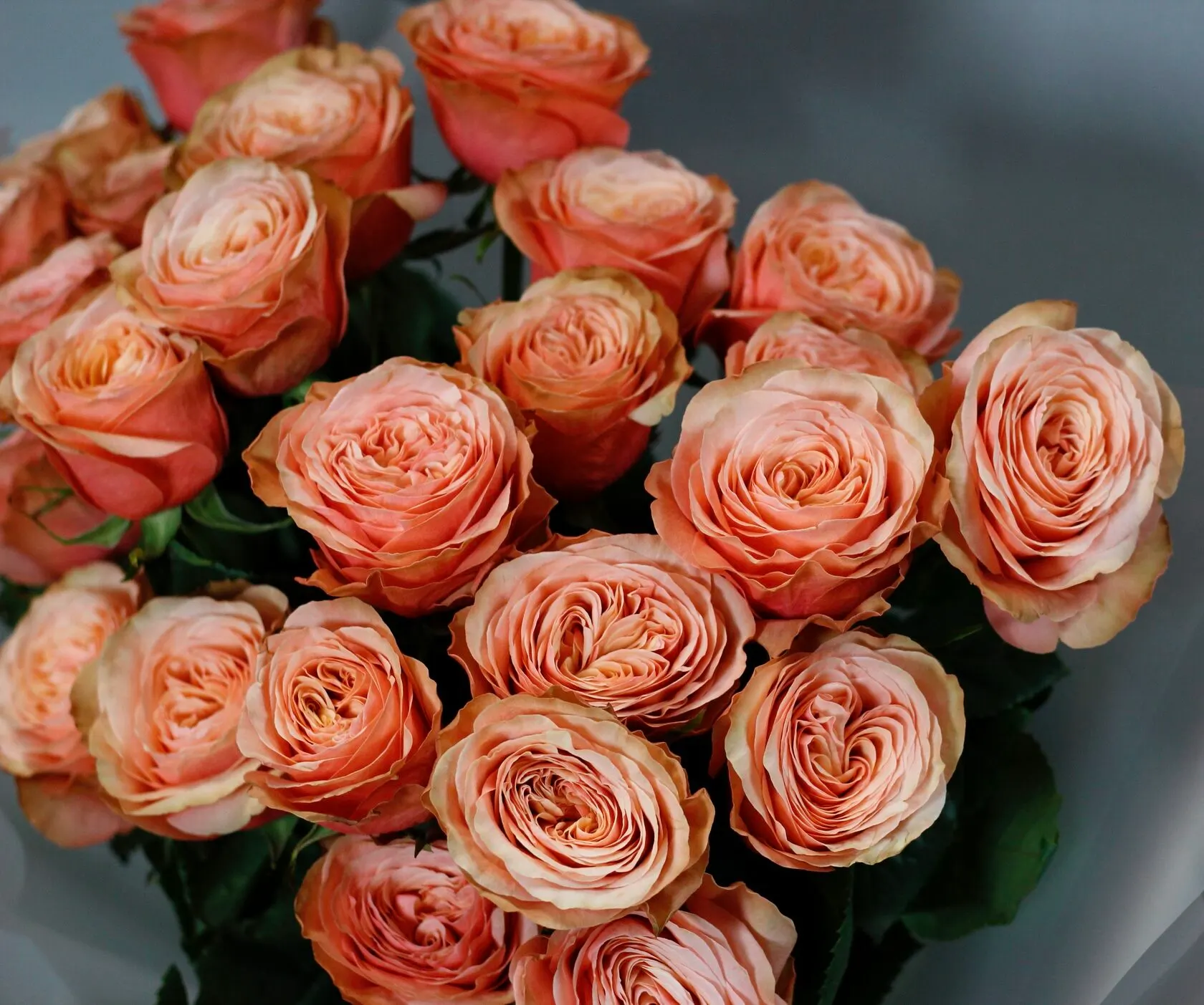 Фото букет Пионовидные розы Кахала, фото 4